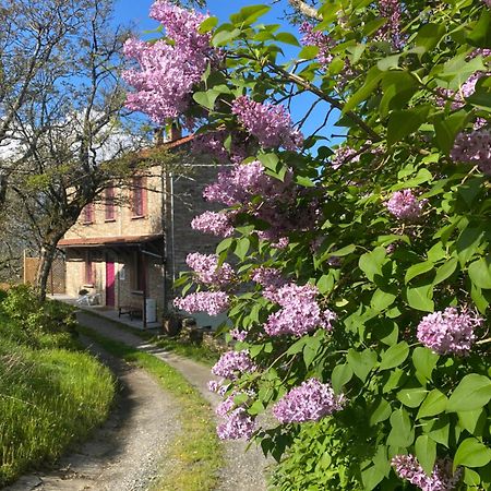 La Lupa E L'Orso Bed & Breakfast Berceto Exterior photo