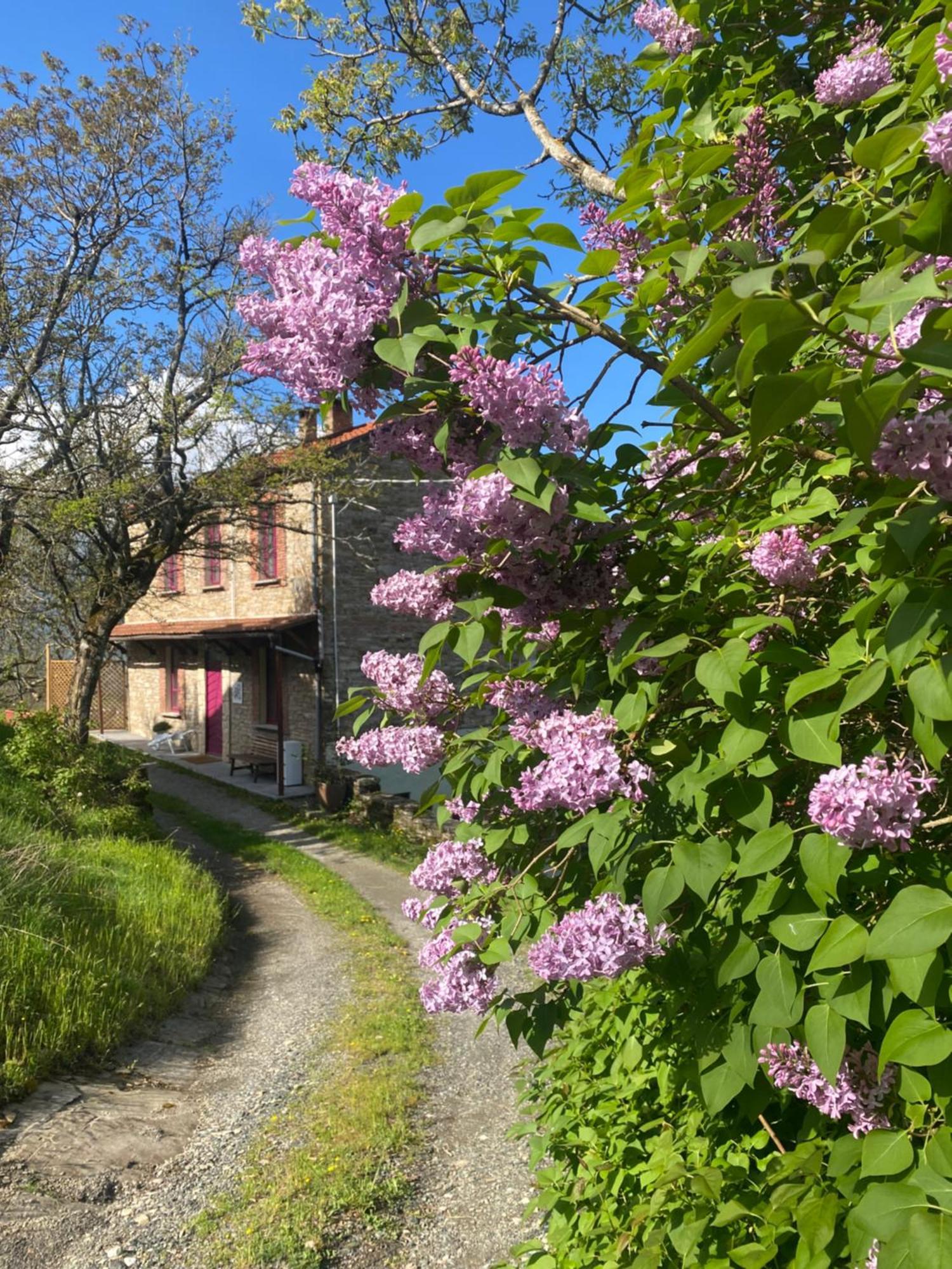 La Lupa E L'Orso Bed & Breakfast Berceto Exterior photo
